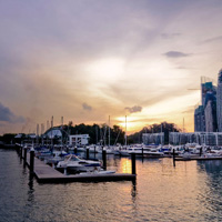 账号交易市场的网页在线DDOS压力测试