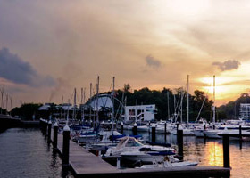 发卡网直销的网页在线DDOS压力测试