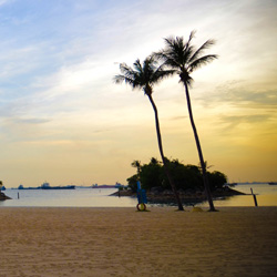 专业破解工具的ddos压力在线测试平台