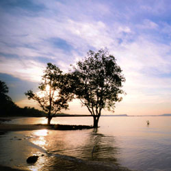 网站攻击软件工具